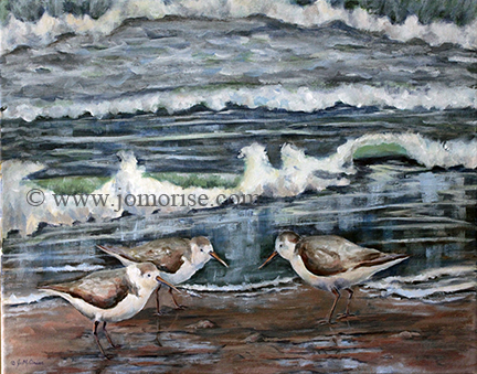 FLA SandPipers