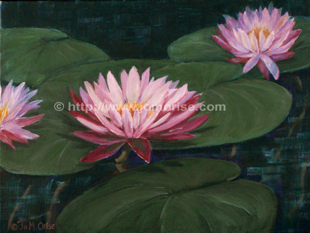 Water Lilies